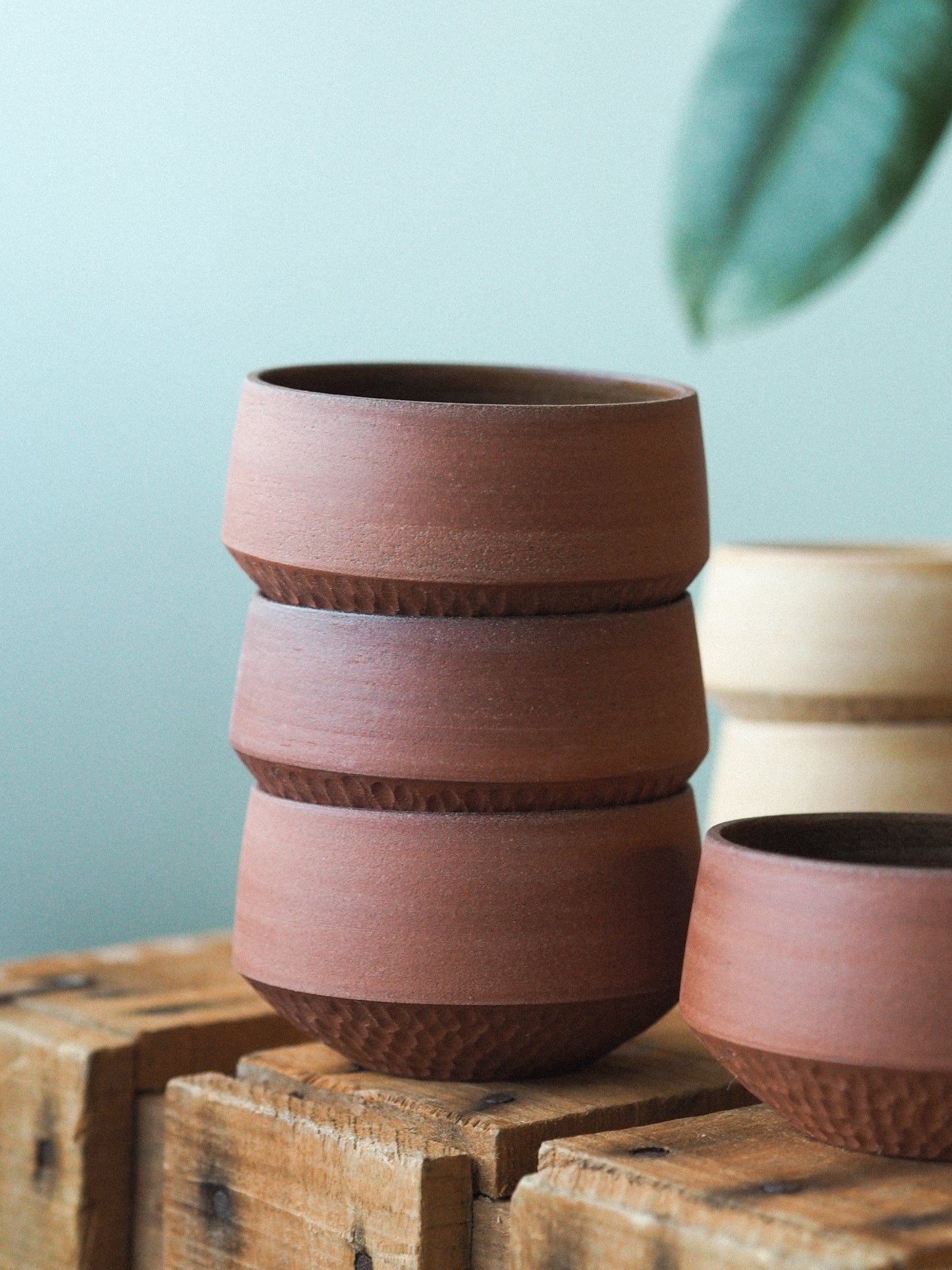 Cup | Doku - 5 colours