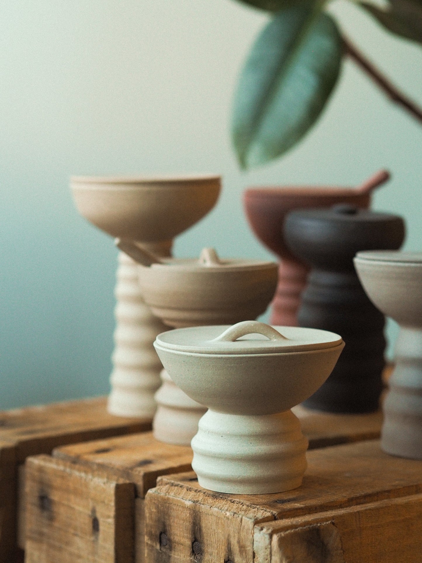 Kruidenpotje | Bitki - lichtgrijs