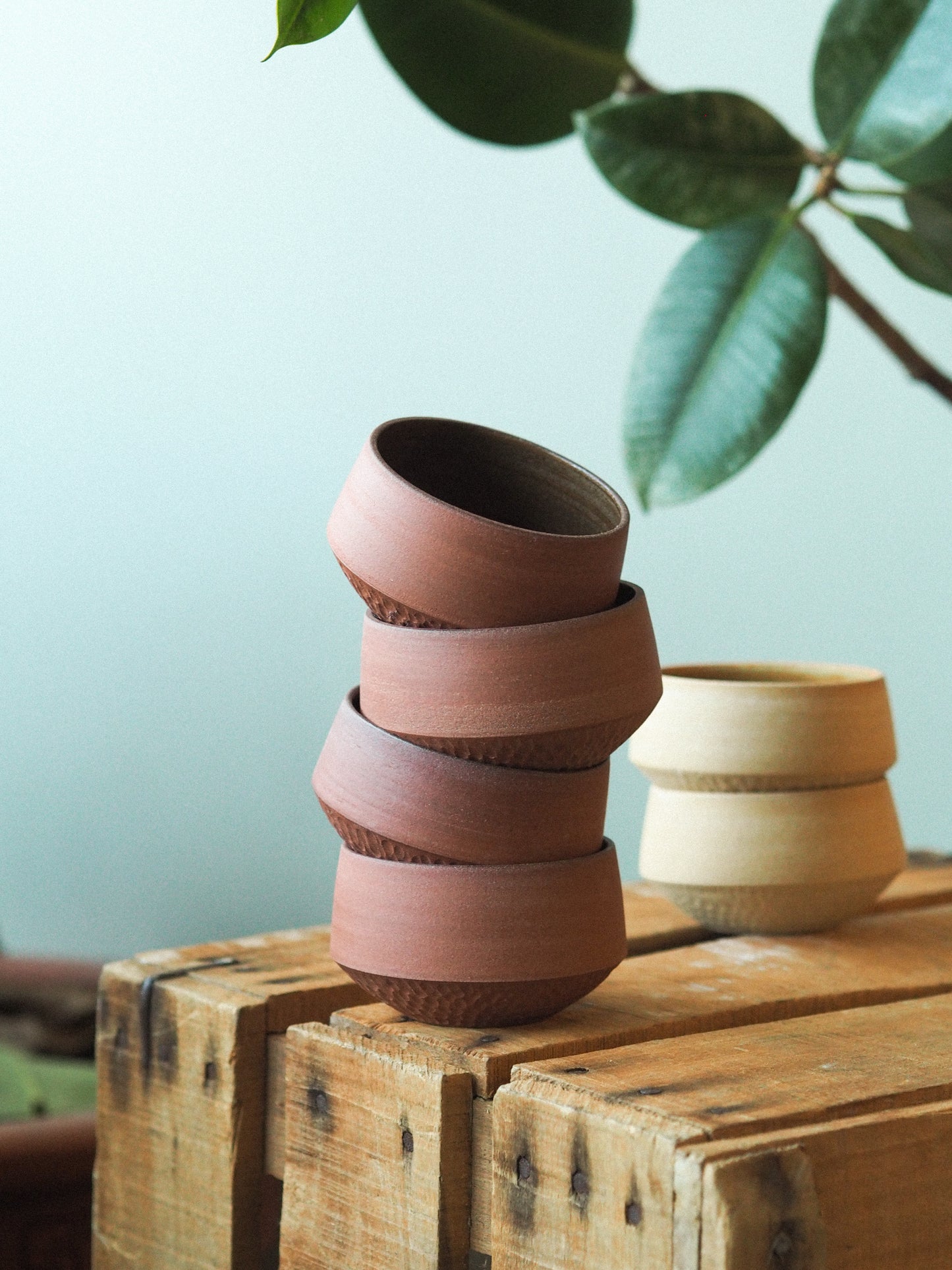 Cup | Doku - 5 colours