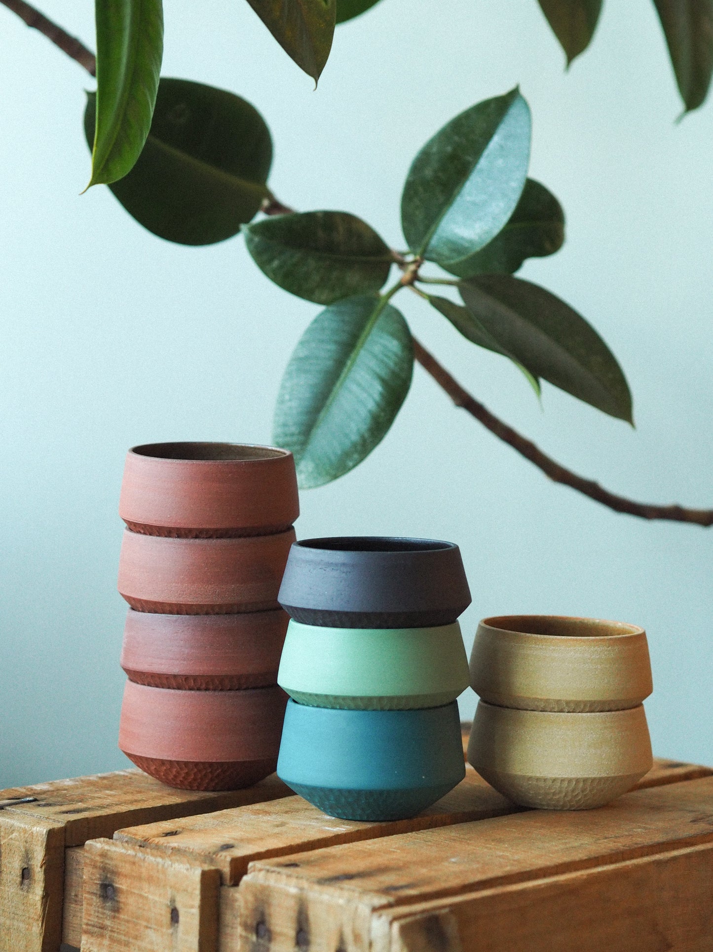 Cup | Doku - 5 colours