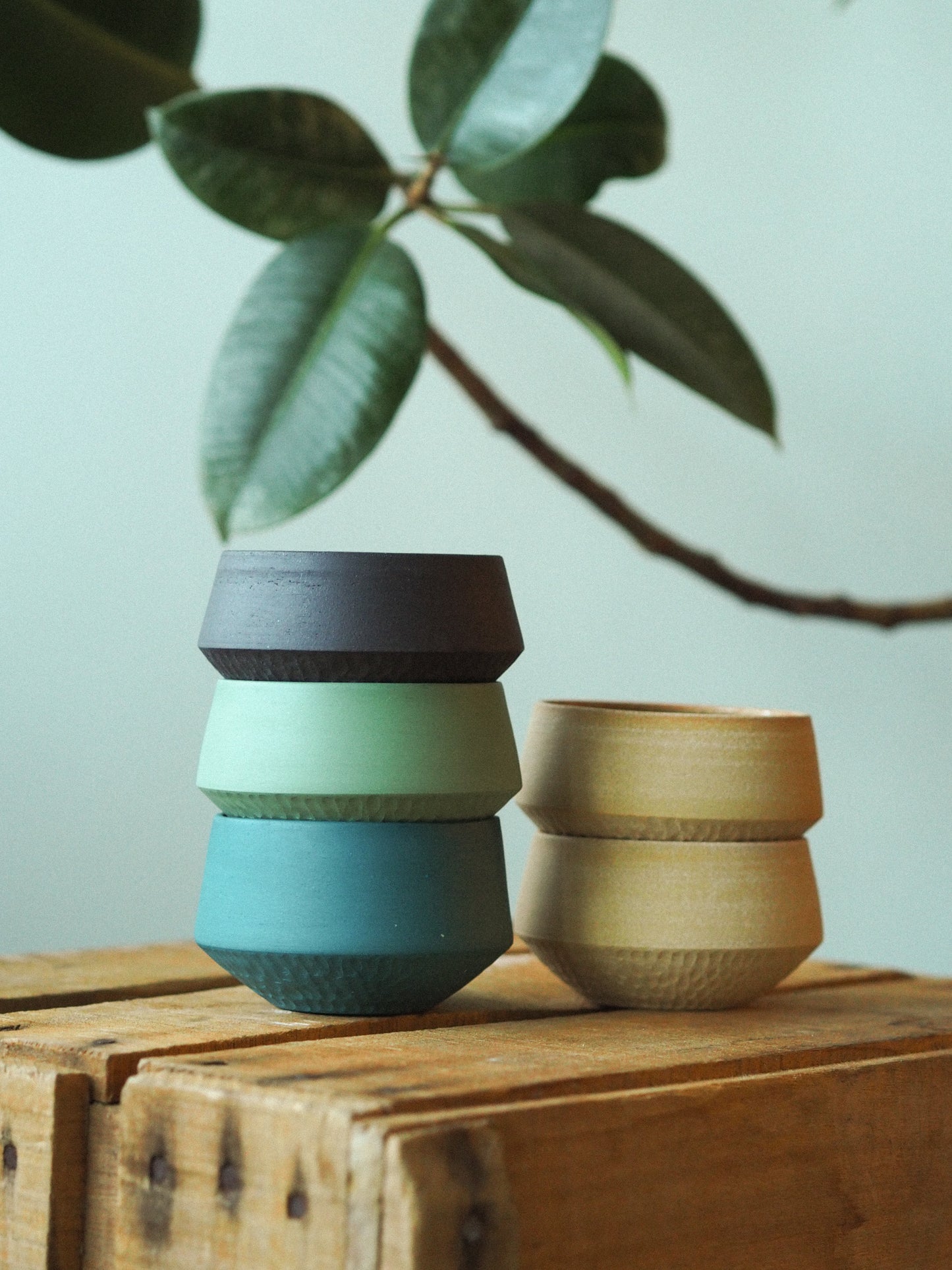 Cup | Doku - 5 colours