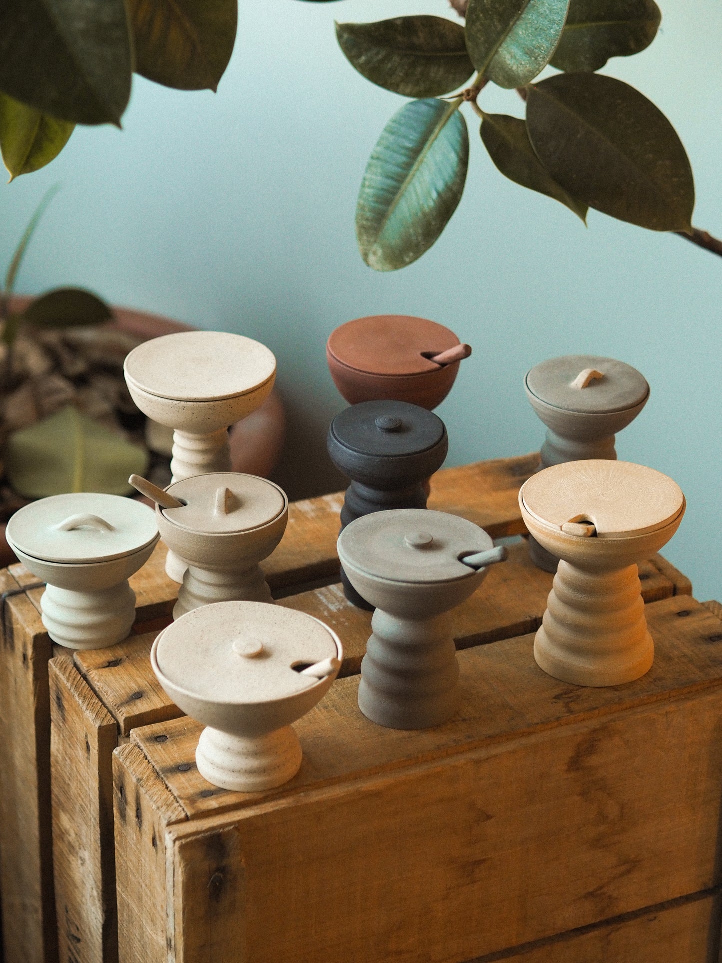 Kruidenpotje | Bitki - Terracotta